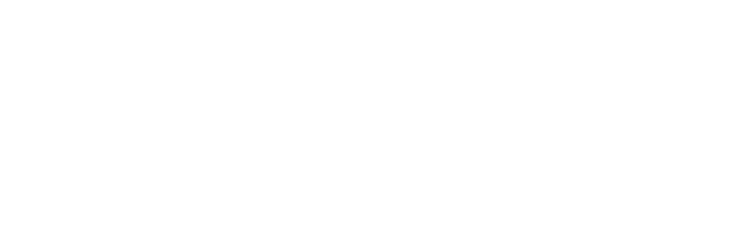 New Zealand Government Logo